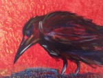 Raven, 11x14, $50. Raven against red background.